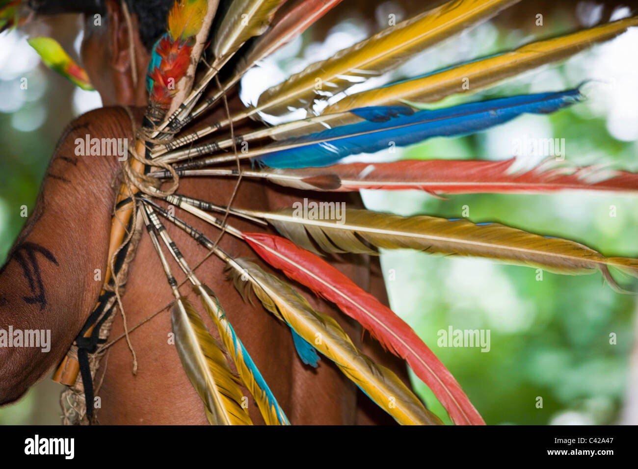 Presidente Hueco lengua Hombre plumas de colores fotografías e imágenes de alta resolución - Alamy