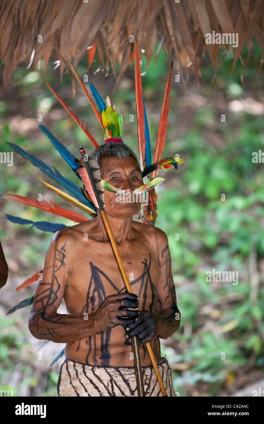 Parque Nacional del Manu, montañas de Pantiacolla. hombre indígena de Harakmbut indios en el vestido ceremonial con plumas de guacamayo. Foto de stock