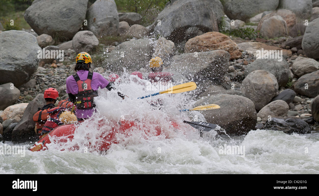 "Rafting" espumosas aguas del río Beas Manali Himachal Pradesh, India.'saliente' Gente divertida aventura retozar disfrute Foto de stock