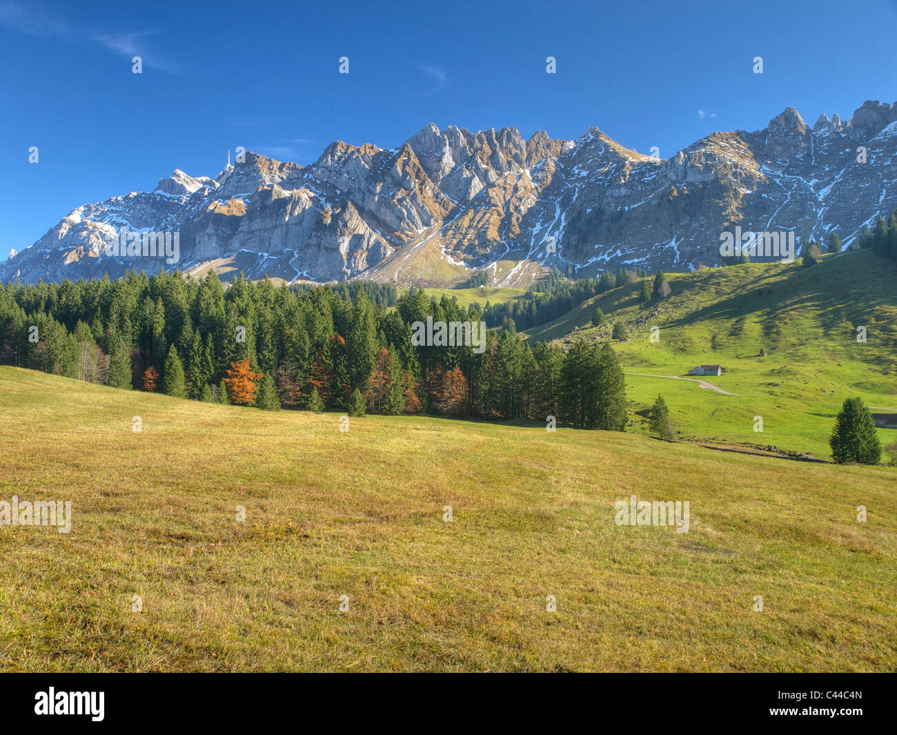 Appenzell, Santis, pradera, abetos, la madera, el bosque, la montaña, Appenzell, Suiza, Foto de stock