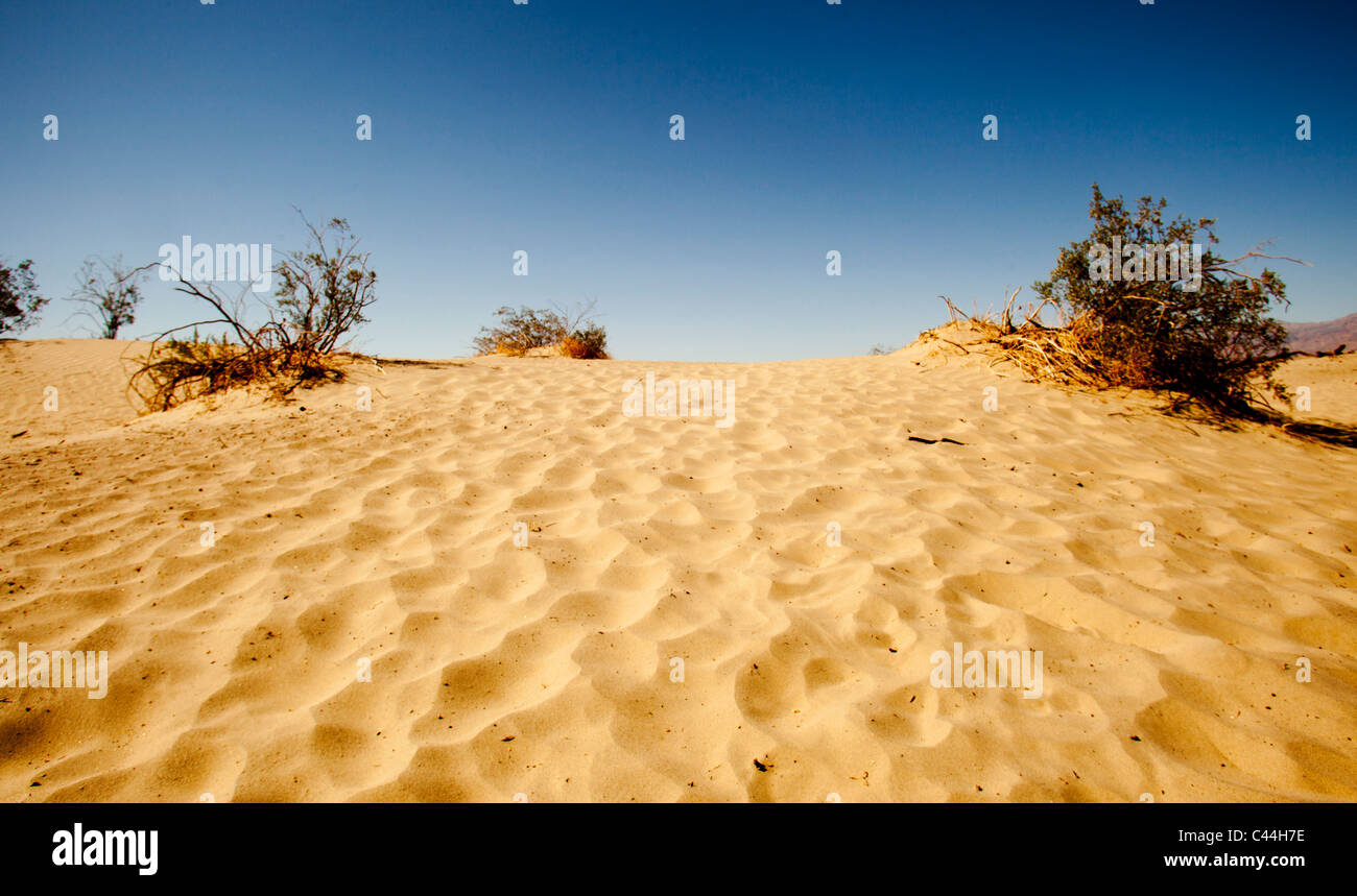 Una duna de arena en el Valle de la Muerte, California, Estados Unidos. El desierto en el Parque Nacional es uno de los mejores lugares en el mundo. Foto de stock