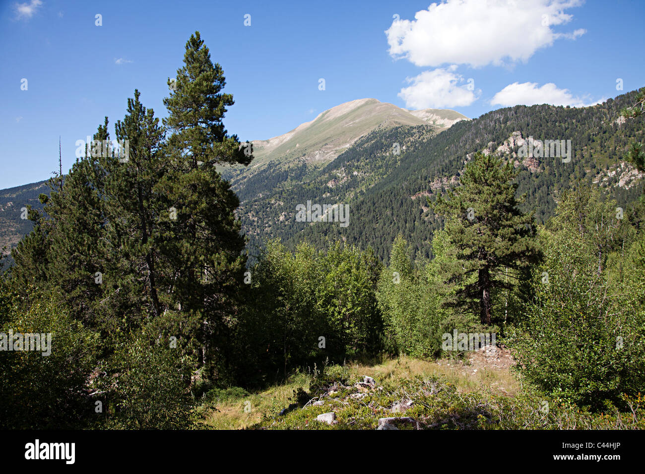 El paisaje de montaña en el cami Interparochial sendero CI Coll d'Ordino Andorra Foto de stock