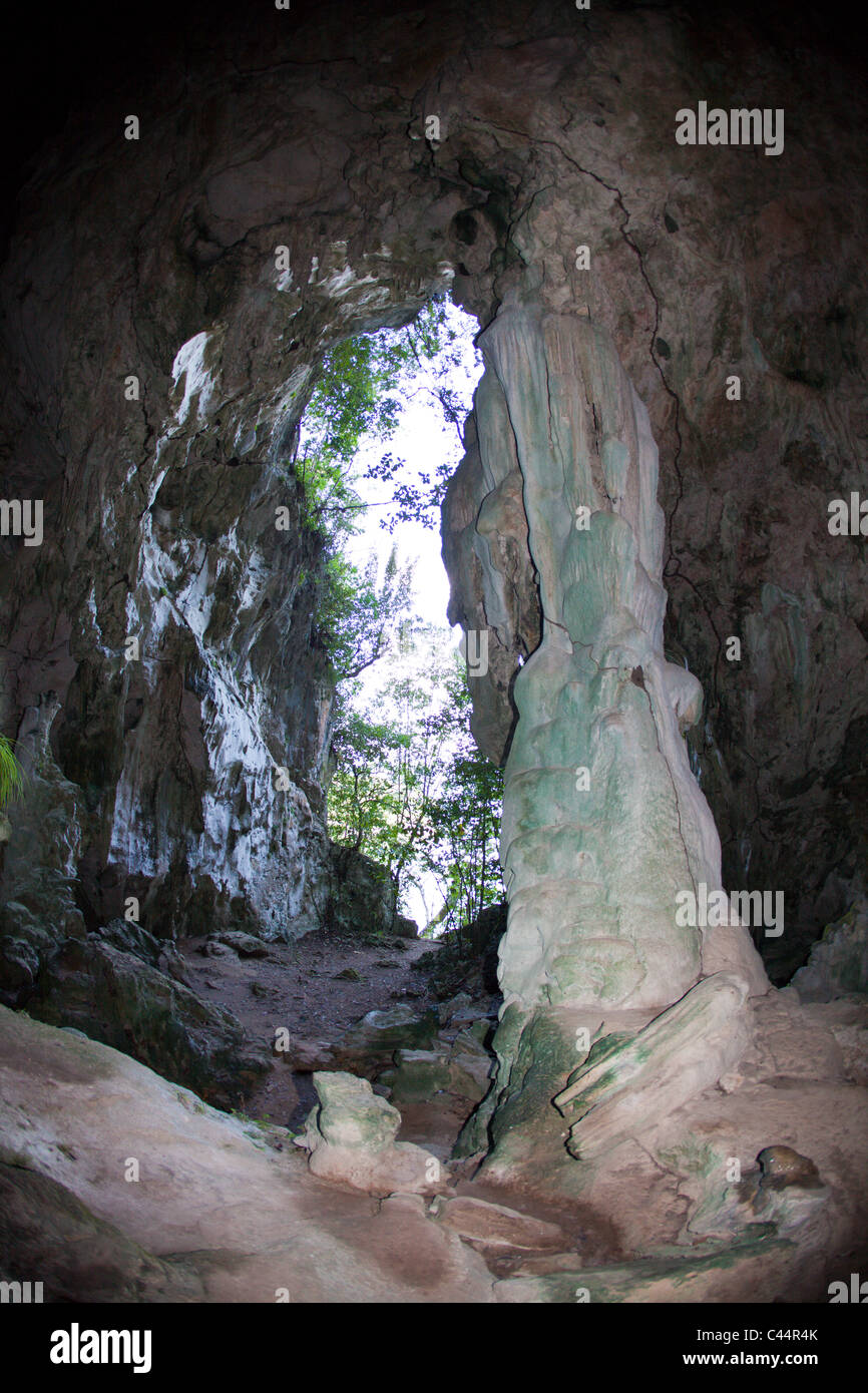 San Gabriel cuevas de piedra caliza, el Parque Nacional Los Haitises, República Dominicana Foto de stock
