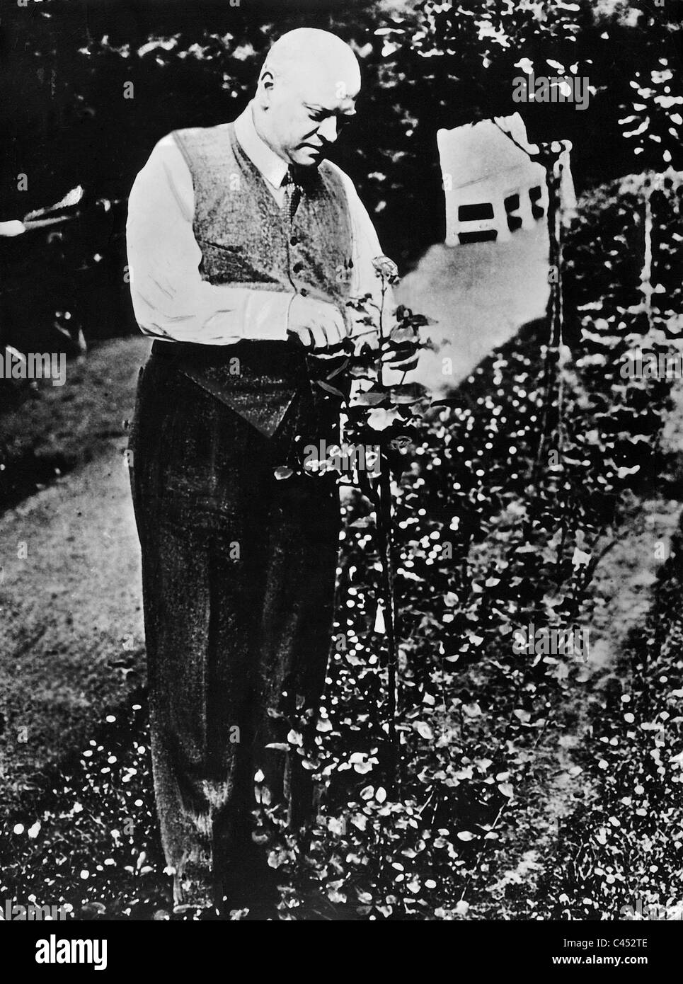 Gustav Stresemann como jardinero Foto de stock