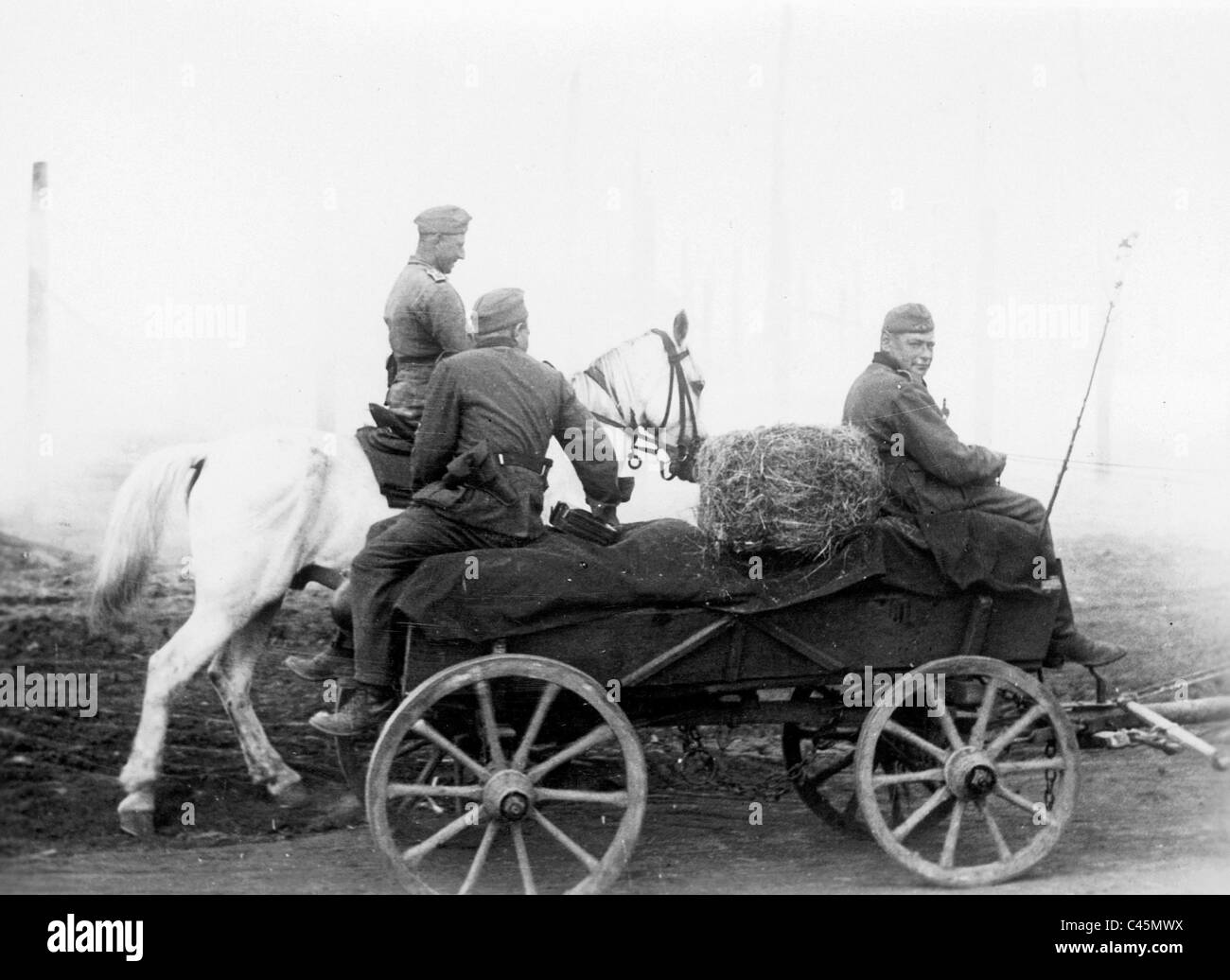 Soldado alemán con un carro de caballos en el frente oriental, 1942 Soldado alemán con un carro de caballos en el frente oriental, 1942