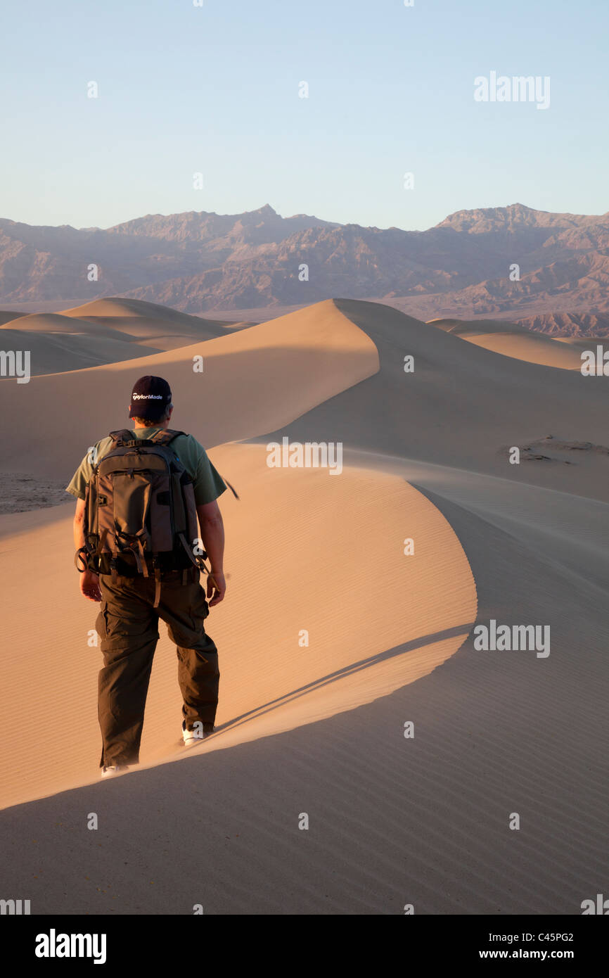 Hombre caminando sobre las dunas de arena de mezquite, el Parque Nacional Valle de la Muerte, California Foto de stock