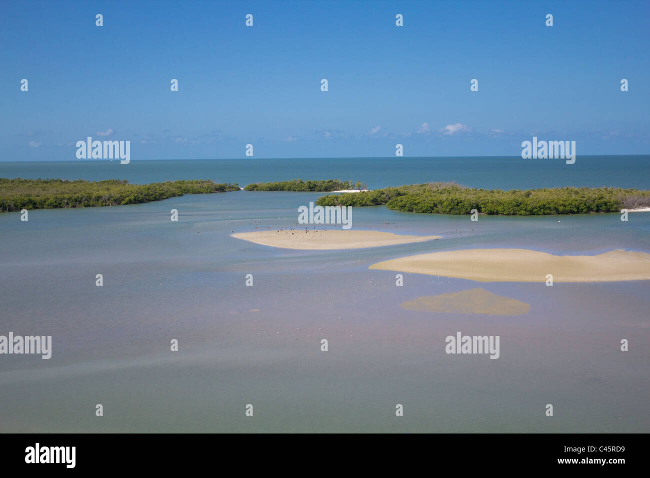 Diez Mil Islas de la zona sur de la isla de Marco en la costa oeste de Florida. Foto de stock
