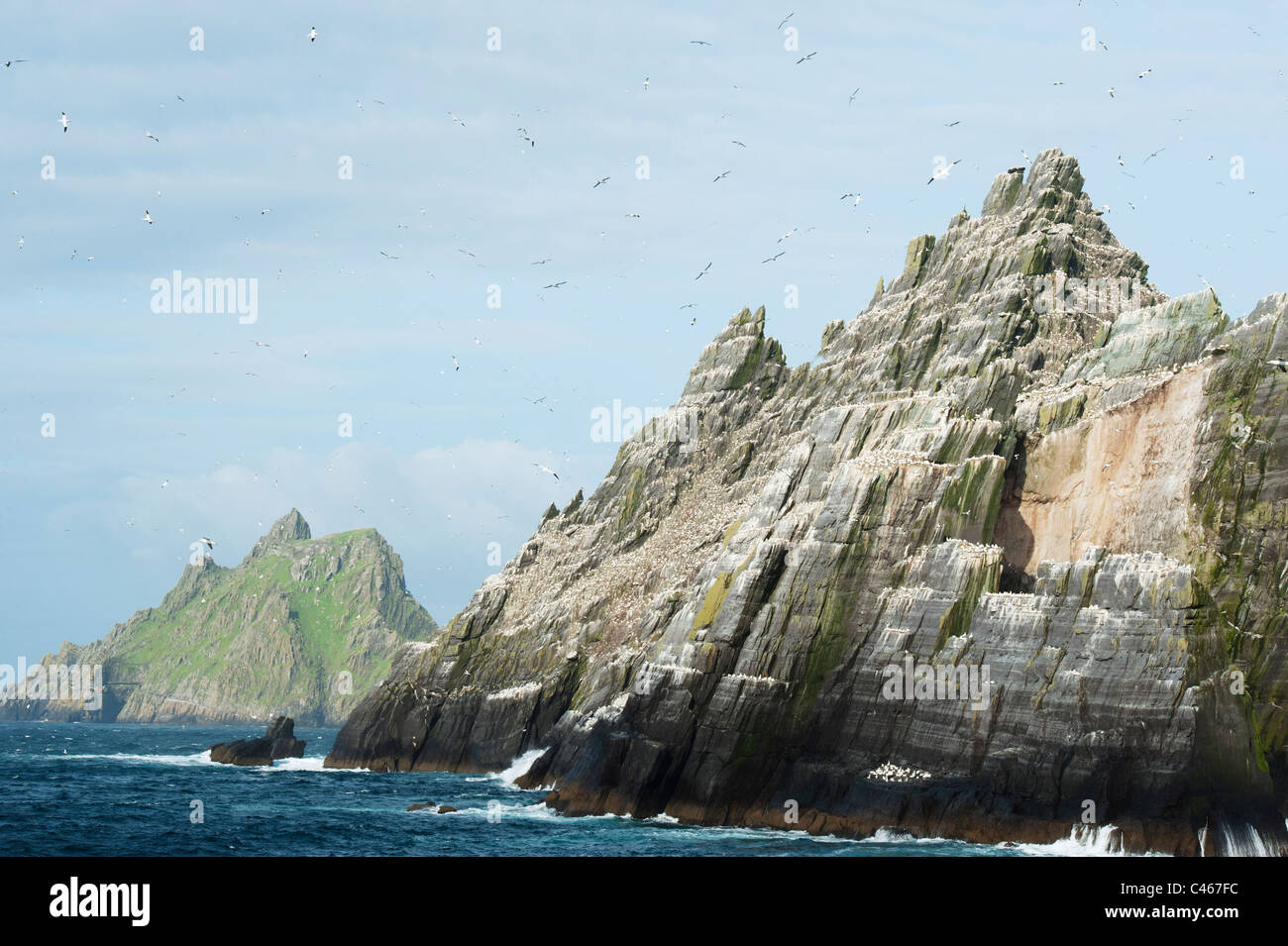 Little Skellig Isla, gran colonia de alcatraces (Sula bassana) en el condado de Kerry, Irlanda: Skellig Michael Isla detrás Foto de stock