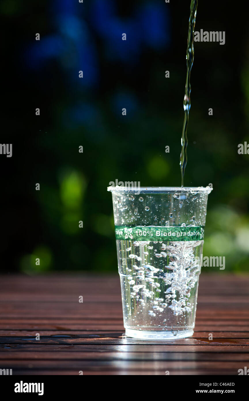 Plástico biodegradable y compostable taza gratis hechas a partir de material vegetal con agua mineral. Foto de stock