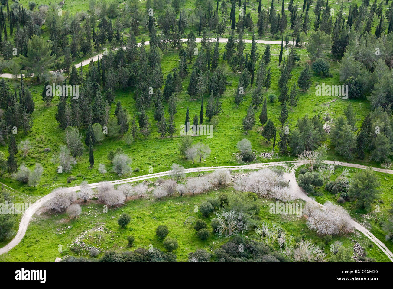 Fotografía aérea del Bosque Ben Shemen en las montañas de Jerusalén Foto de stock