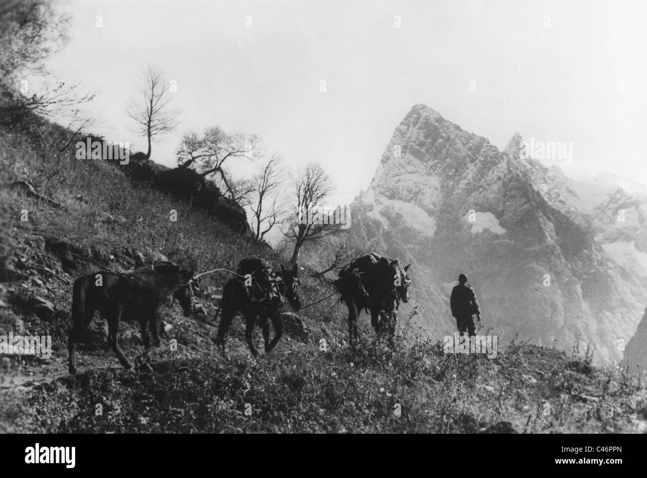 Segunda Guerra Mundial alemán de infantería de montaña en el Monte