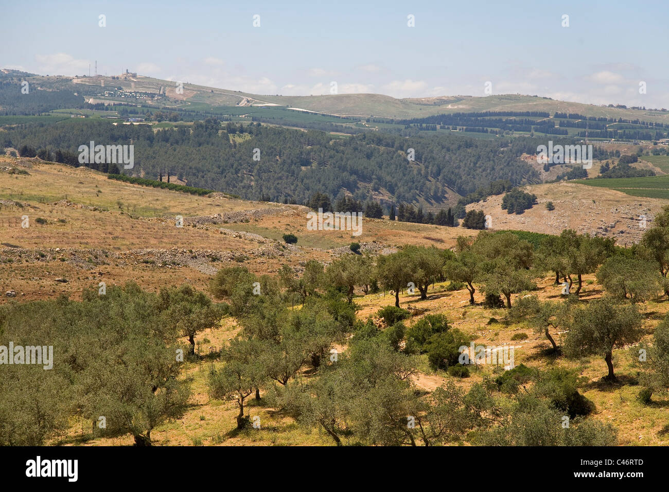 Fotografía aérea de los campos de Kerem Ben Zimra en la alta Galilea Foto de stock