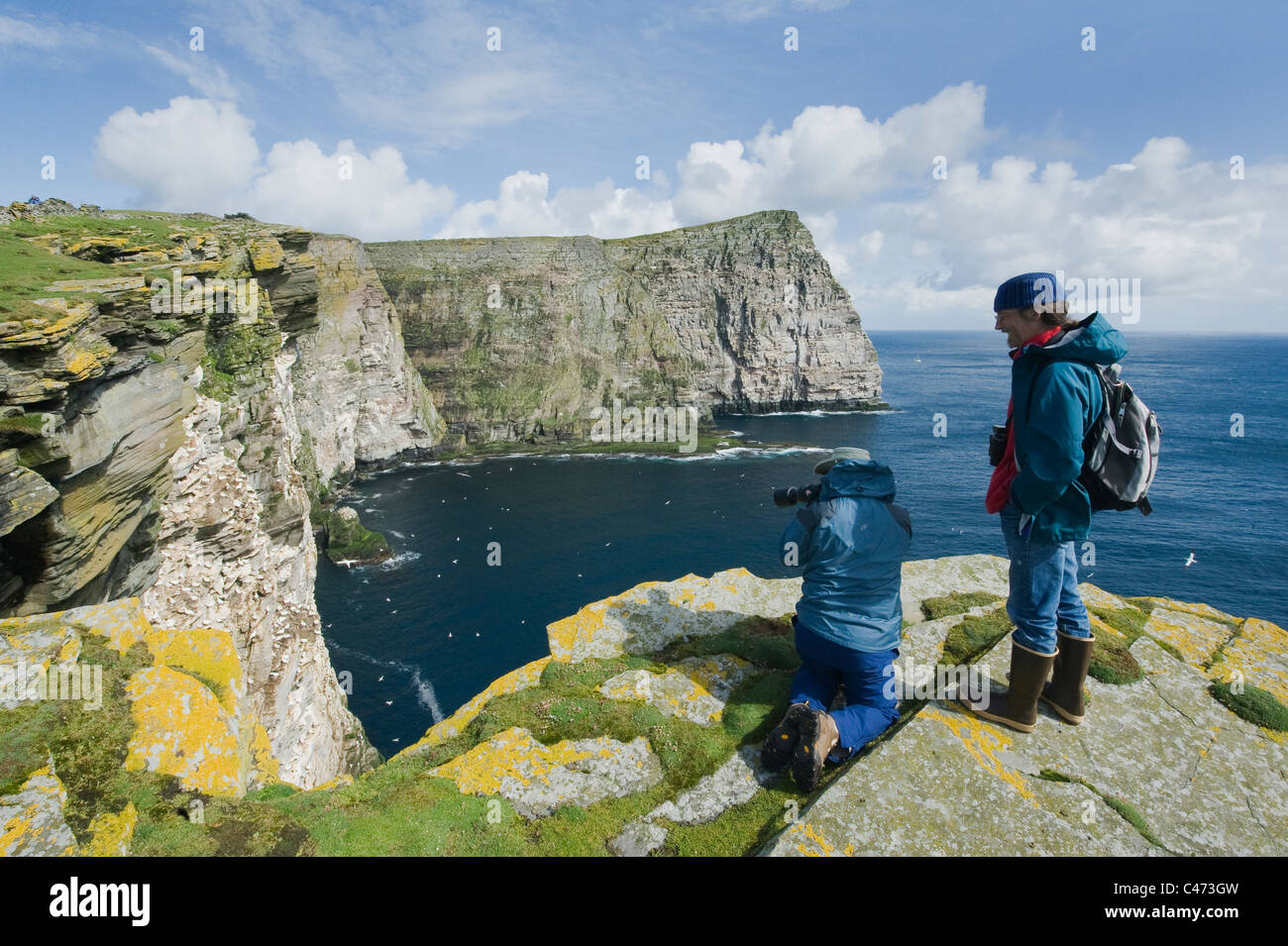 Fotografiar Seabird Colony, en la isla de Noss, Islas Shetland, Escocia Foto de stock