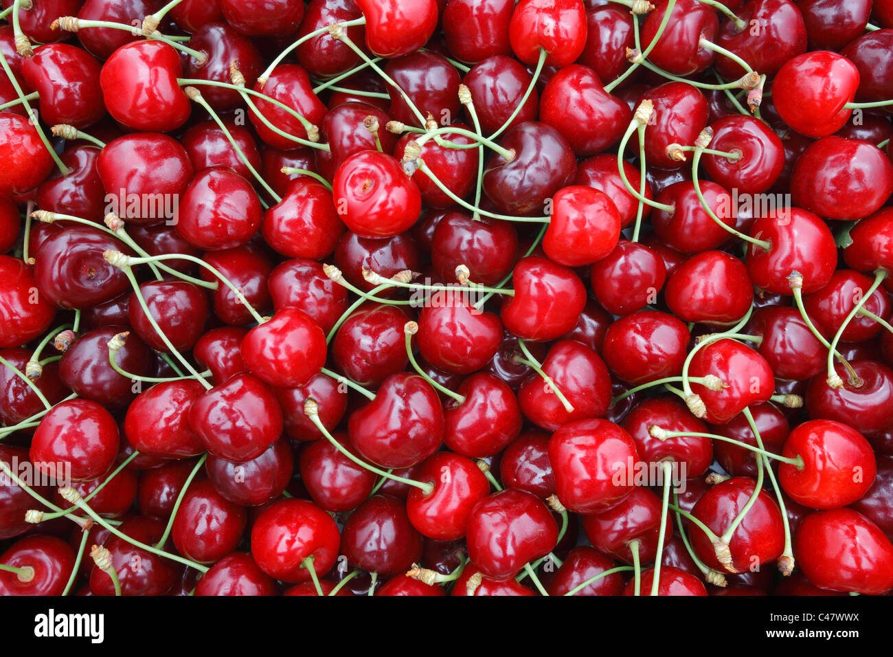 La textura de los frutos de cereza Foto de stock