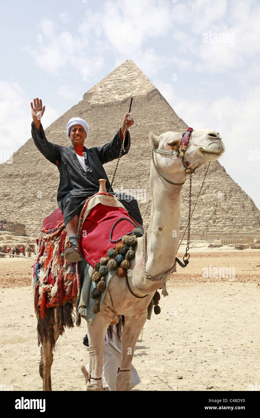 Y jinete de camellos delante de la pirámide de Khafre (Chephren), las pirámides de Giza, en El Cairo, Egipto Foto de stock