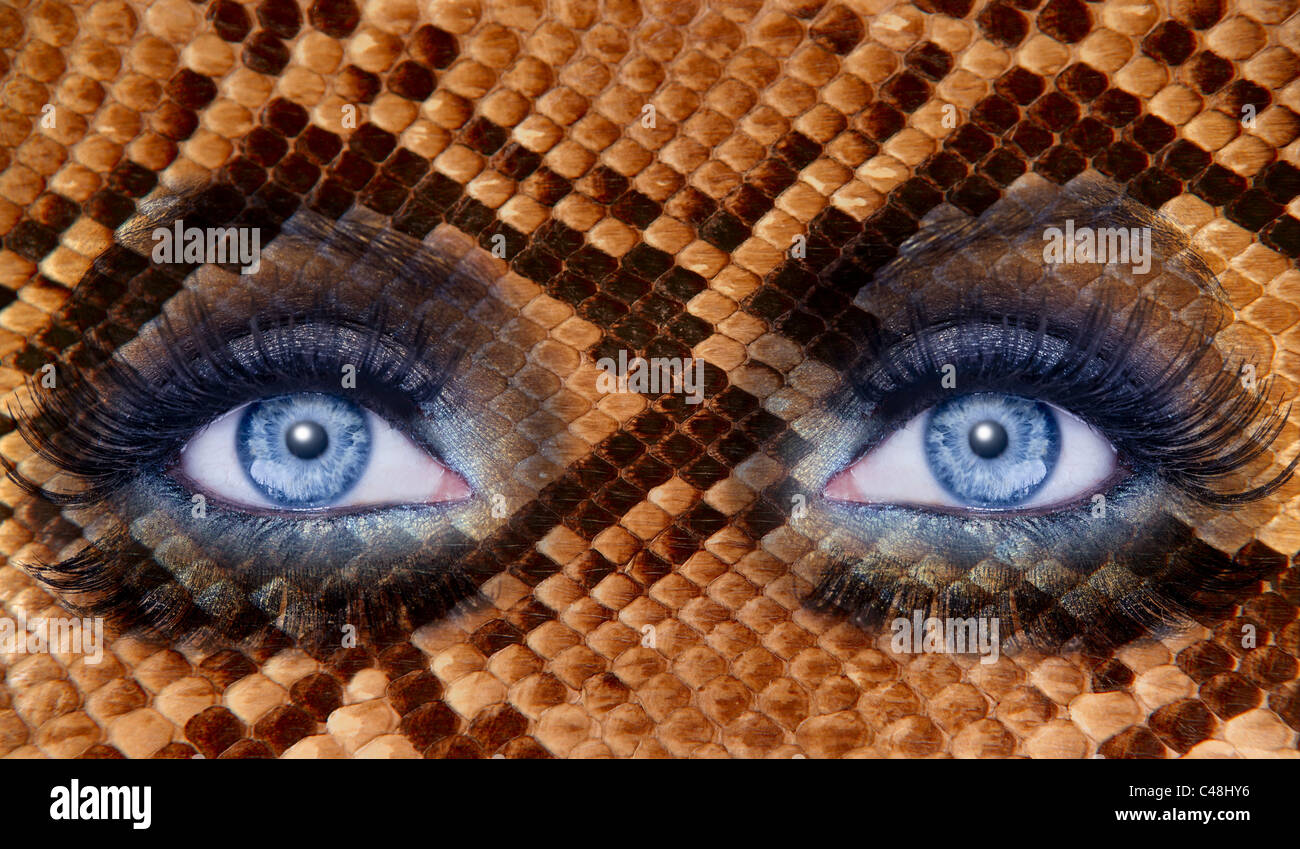 Maquillaje moda azul ojos de textura de piel de serpiente fauna metáfora  Fotografía de stock - Alamy