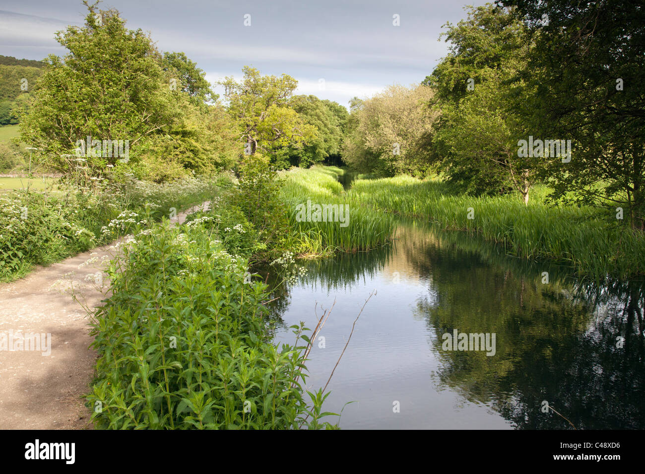 Canal de Cromford, Derbyshire, Inglaterra Foto de stock