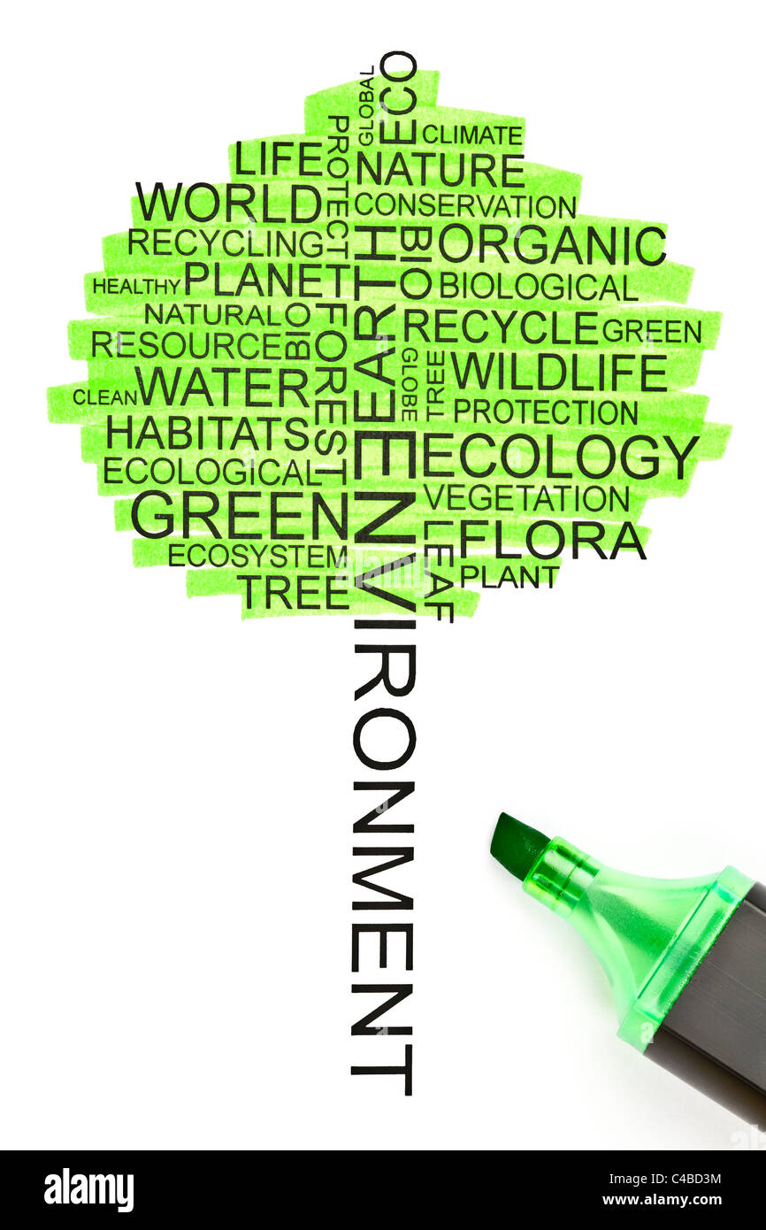 Concepto de ecología hechas de palabras relacionadas con la forma de un árbol Foto de stock