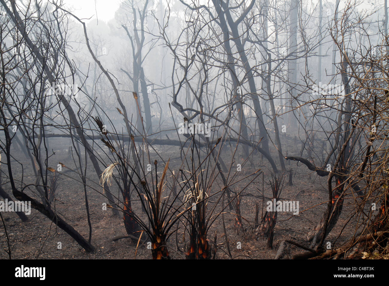 Ennegrecido por el humo fotografías e imágenes de alta resolución Alamy