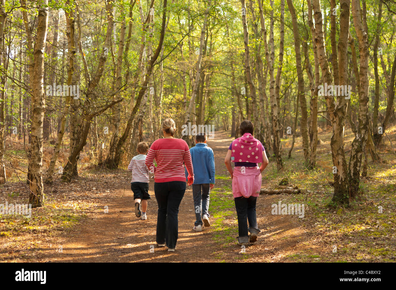 Una familia caminando en el bosque en Westleton Heath , Suffolk , Inglaterra , Gran Bretaña , Reino Unido Foto de stock