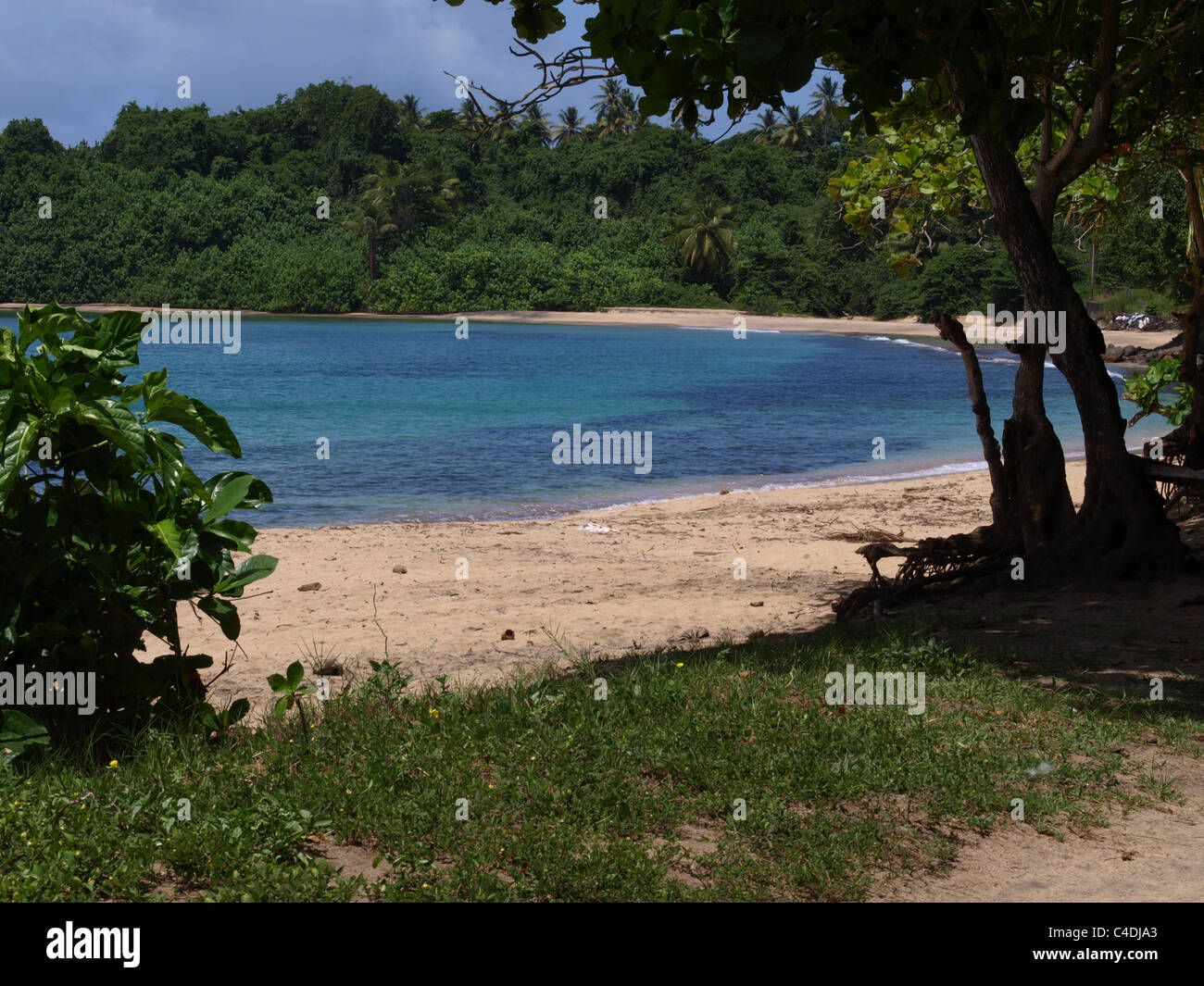 Las hermosas y transparentes aguas de la playa de Woodford Hill, sin gente, con exuberante naturaleza verde en todo el Commonwealth de Dominica, Caribe. Foto de stock