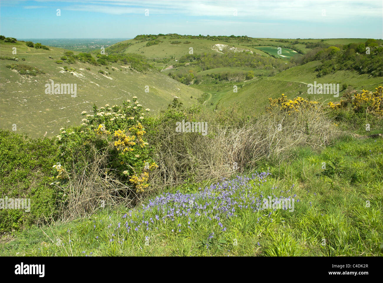 El Devil's Dyke en los South Downs National Park en el sur de Inglaterra con Newtimber Hill en el fondo. Foto de stock