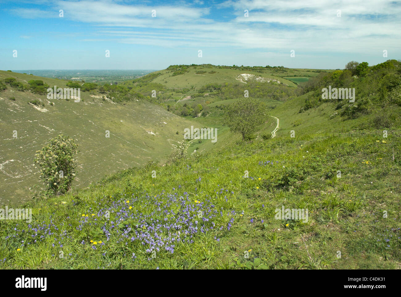 El Devil's Dyke en los South Downs National Park en el sur de Inglaterra con Newtimber Hill en el fondo. Foto de stock