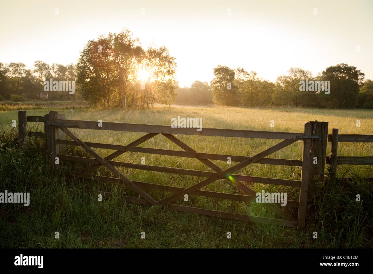 Apacible campiña inglesa al amanecer, Lackford Lagos, Suffolk, Reino Unido Foto de stock