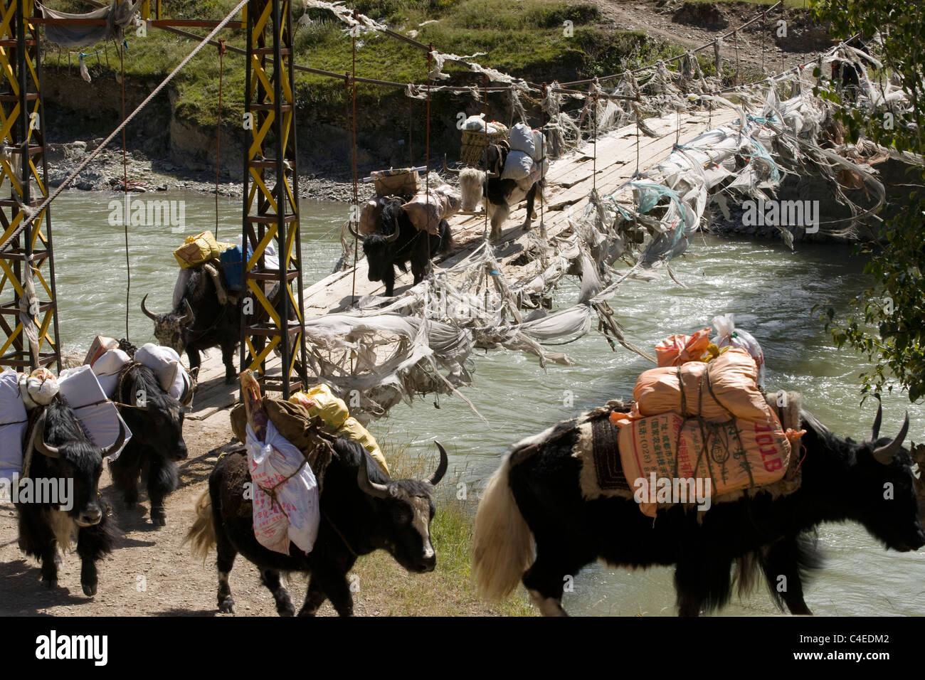 Caravana de yaks, Luo Za Village, en el sur de Ganzi, en la provincia de Sichuan, China Foto de stock