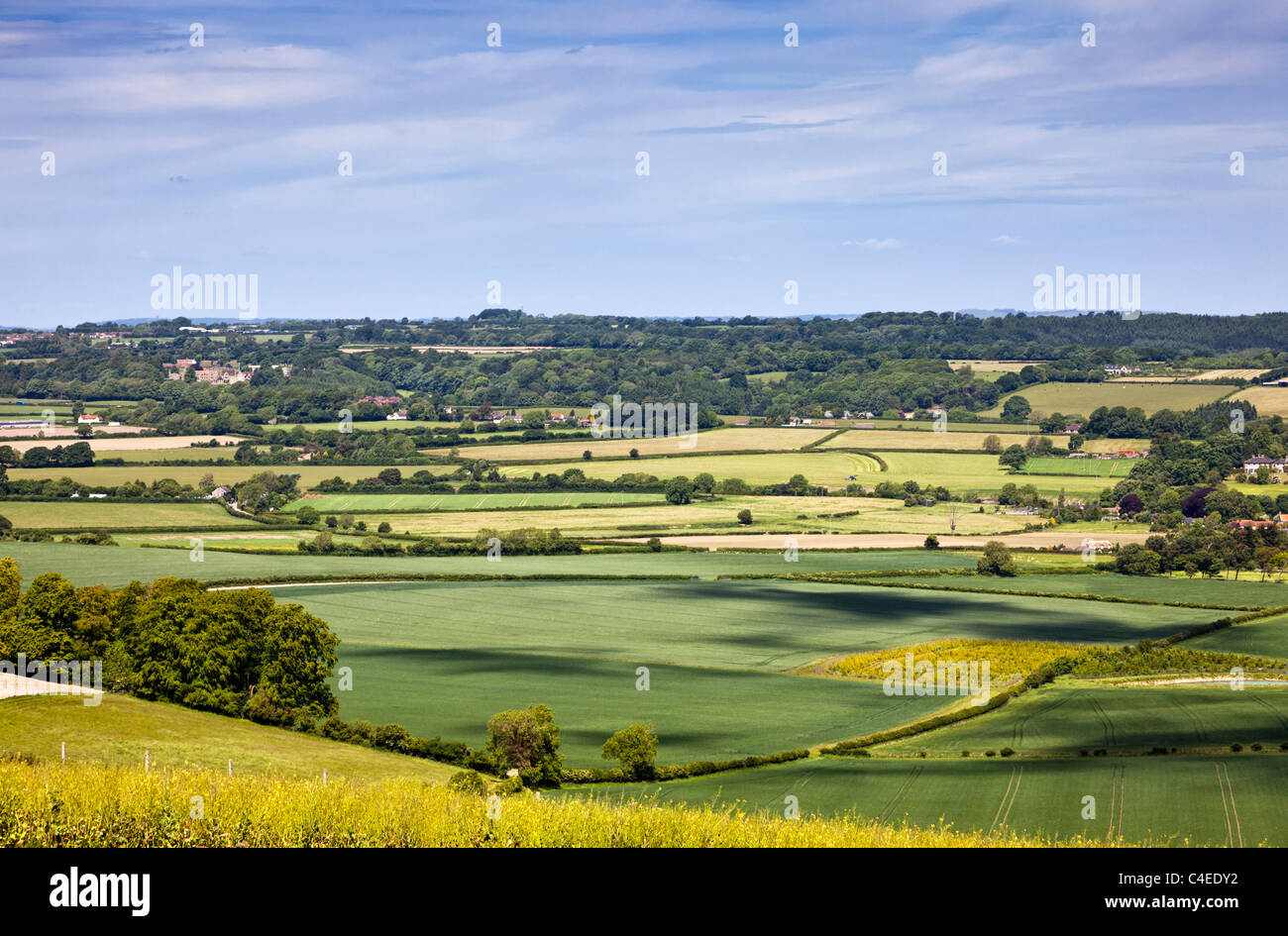 El paisaje inglés - Dorset paisaje Donhead hueco, Dorset, Inglaterra Foto de stock