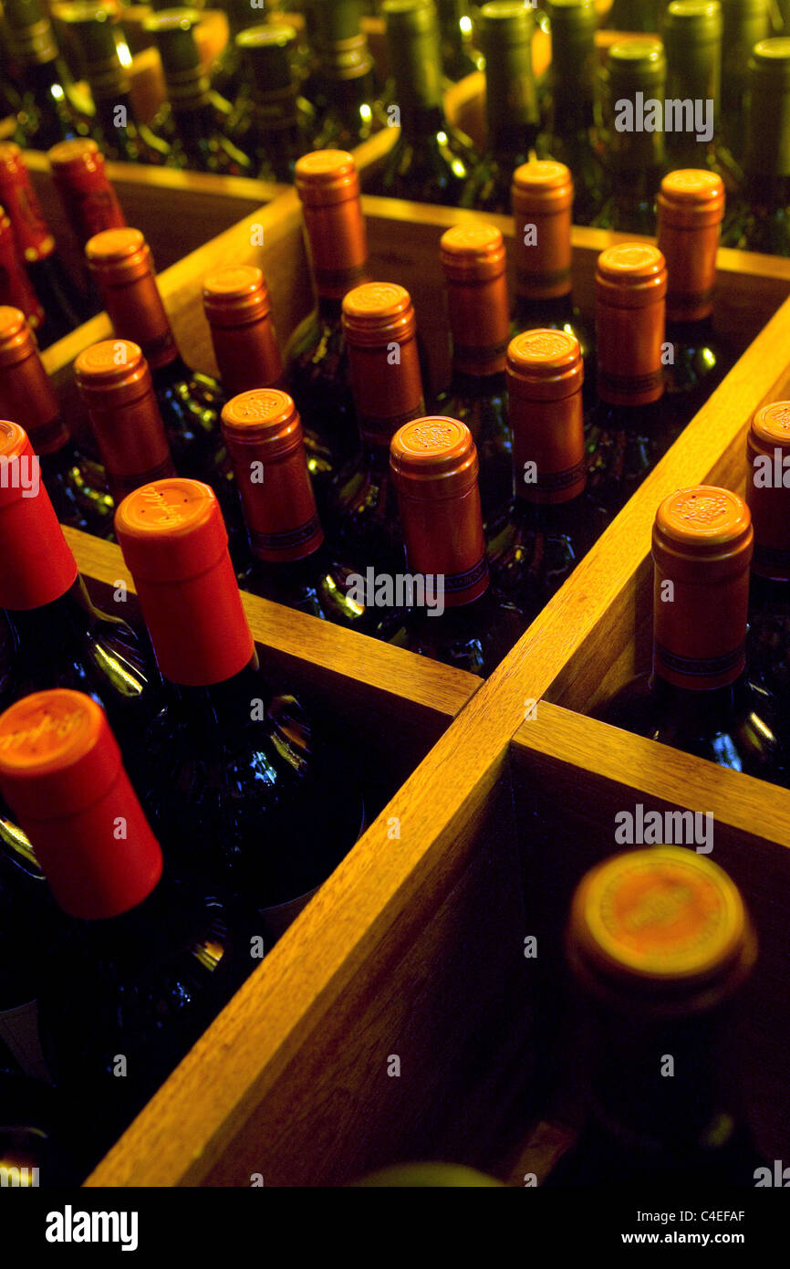 Las botellas de vino en un rack Foto de stock