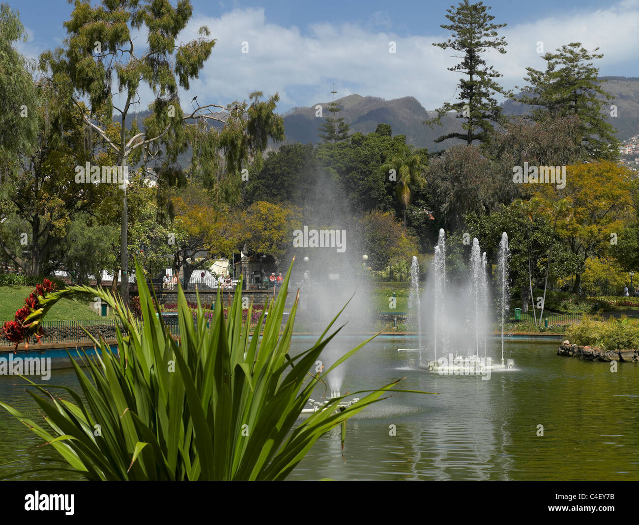 Fuentes y lago en el parque público de Santa Catarina jardín y. Jardines municipales Funchal Madeira Portugal UE Europa Foto de stock