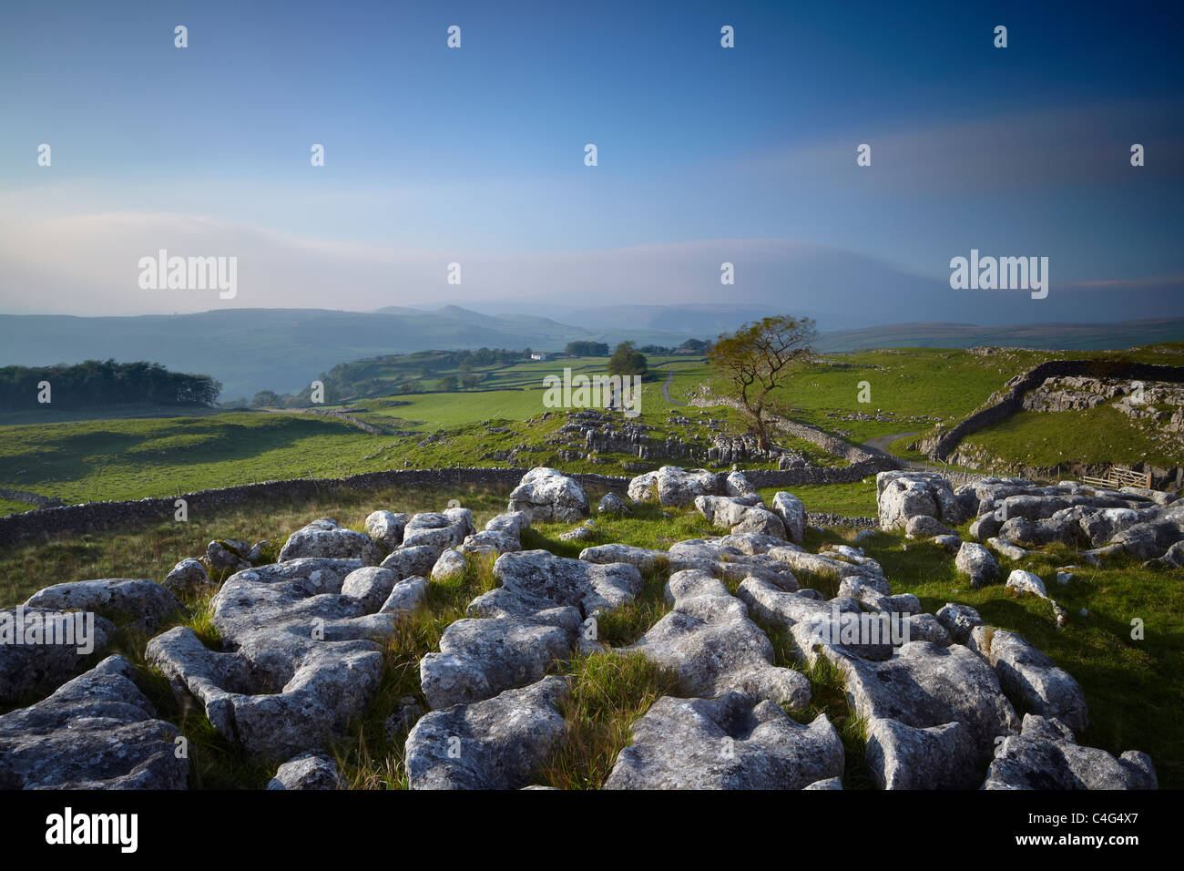 Winskill piedras, Ribblesdale, Yorkshire Dales National Park, Inglaterra, Reino Unido. Foto de stock