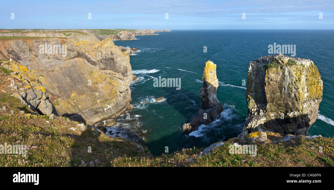 Apilar rocas Castlemartin panorámica del Parque Nacional de la costa de Pembrokeshire, Gales, Cymru, UK, GB Islas Británicas Foto de stock