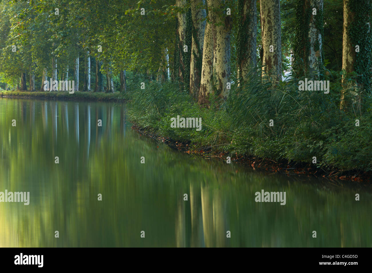 El Canal du Midi nr Castelnaudary, Aude, Languedoc-Rousillon, Francia Foto de stock