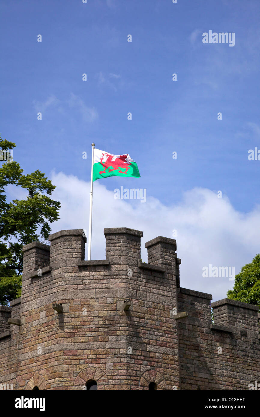 La bandera nacional de Gales sobrevolando el Castillo de Cardiff, South Glamorgan Wales Cymru REINO UNIDO GB Islas Británicas Foto de stock