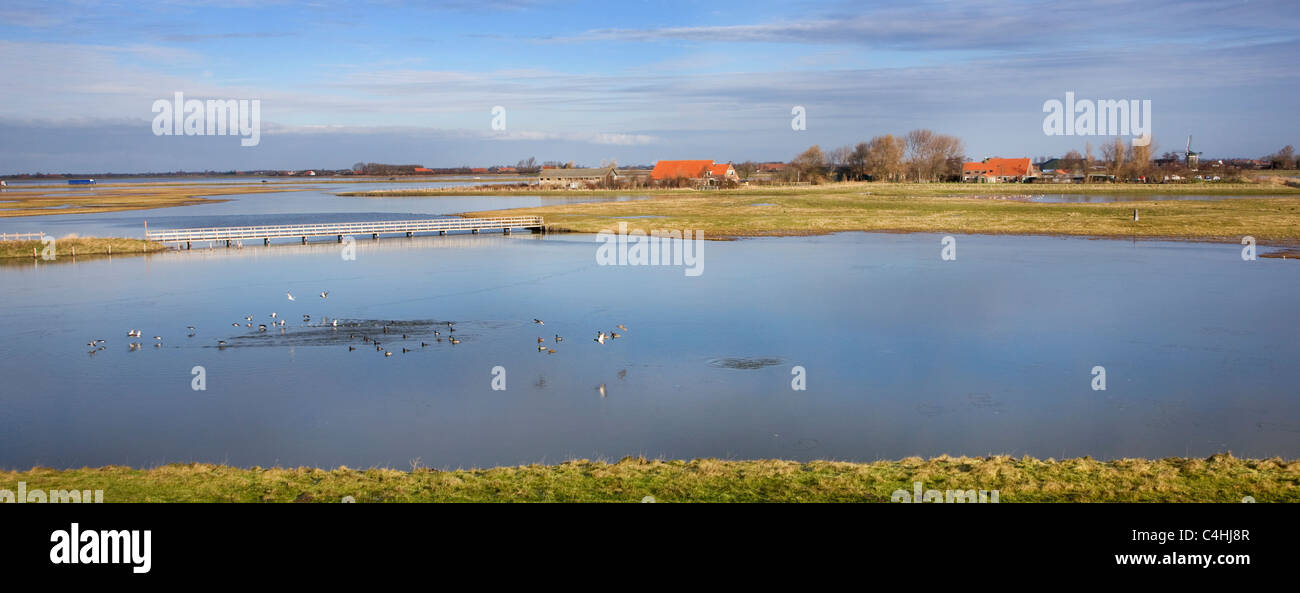 La reserva natural de Schouwen-Duiveland, Zeeland, Holanda Foto de stock