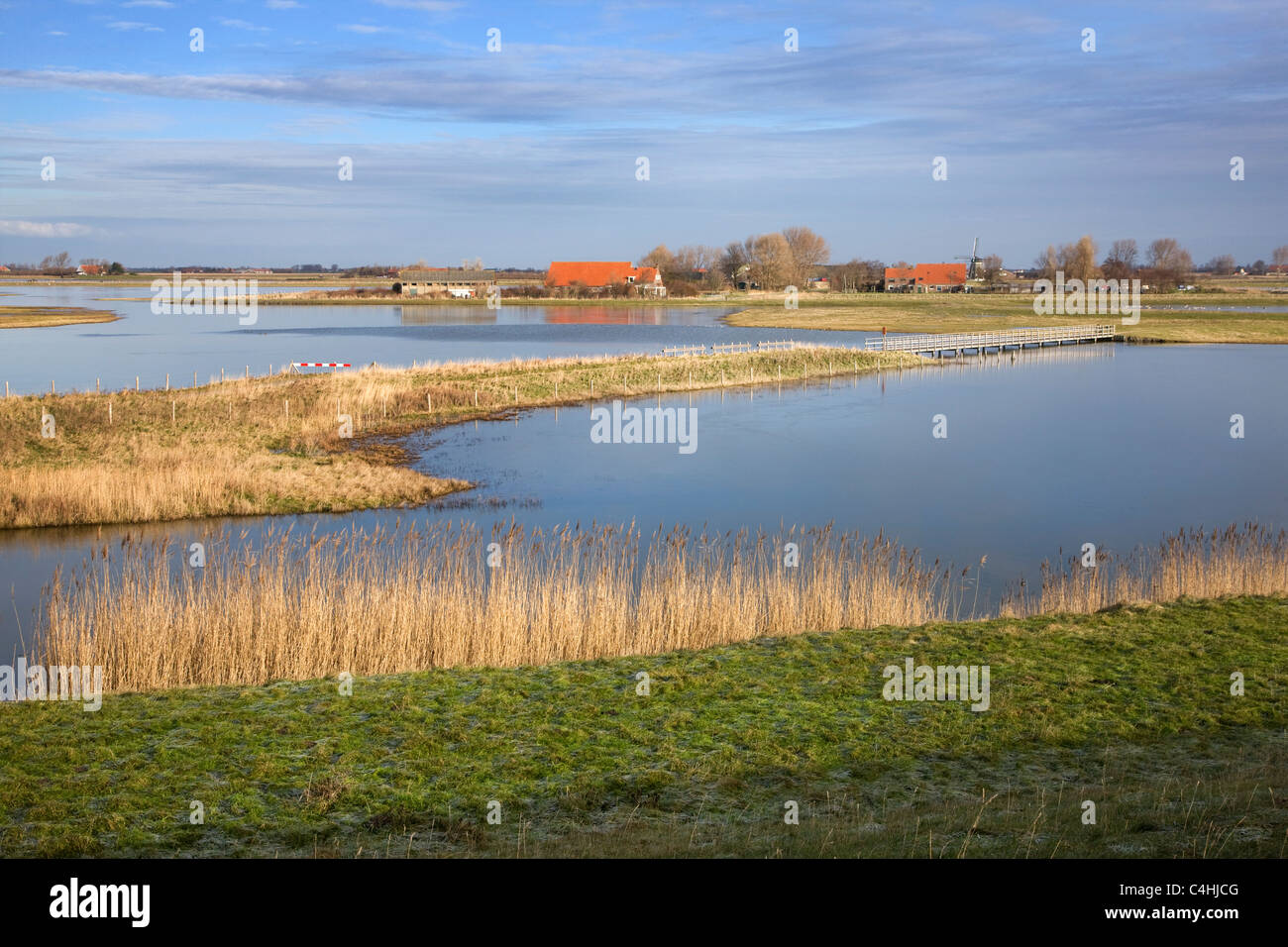 La reserva natural de Schouwen-Duiveland, Zeeland, Holanda Foto de stock