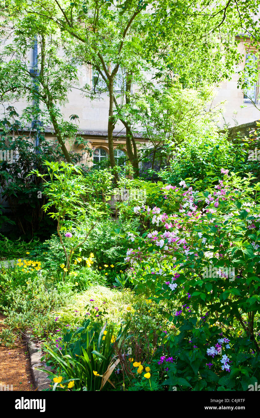 Un rincón del jardín en Wadham College, Universidad de Oxford, Oxford, Inglaterra, Reino Unido, Gran Bretaña Foto de stock