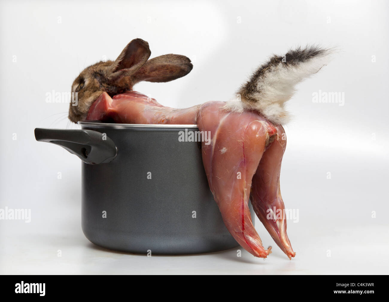 Piel cruda Hare listo para cocinar Foto de stock
