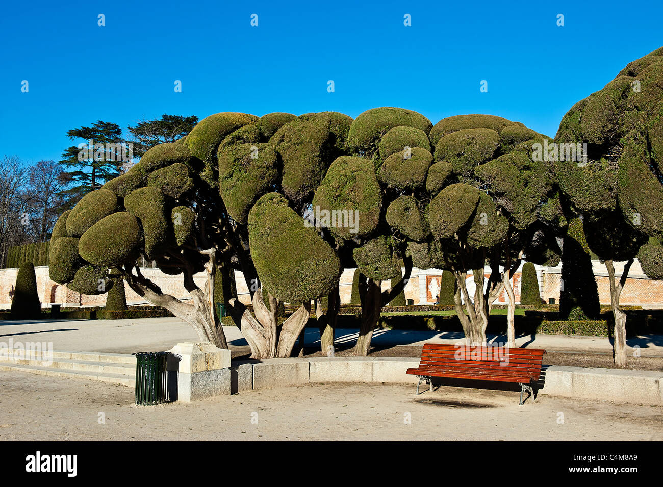 Árboles esculpidos, el parque del Retiro, Madrid, España Foto de stock