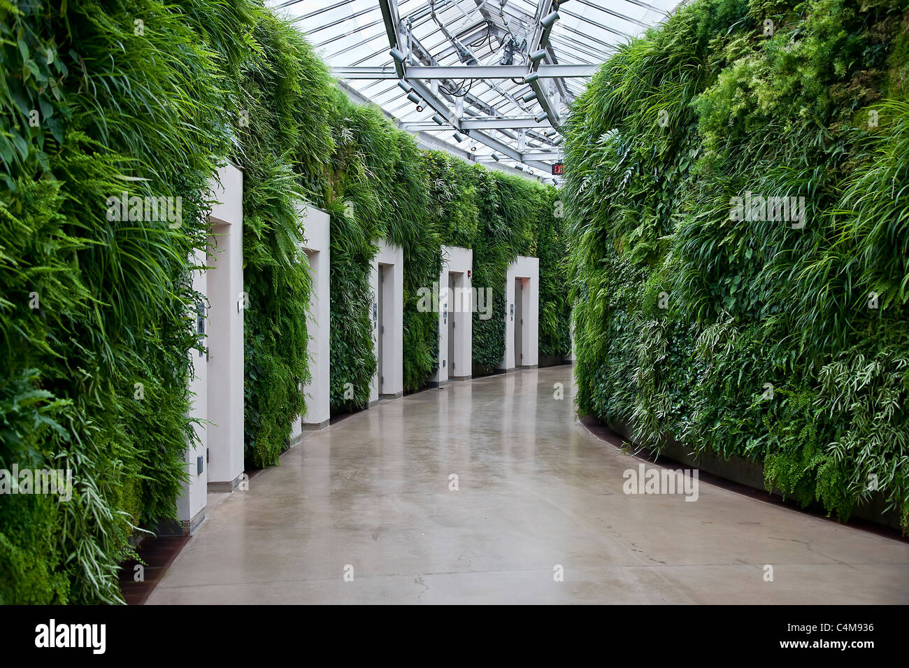 Muralla Verde en este conservatorio, Longwood Gardens, Kennett Square, Pennsylvania Foto de stock