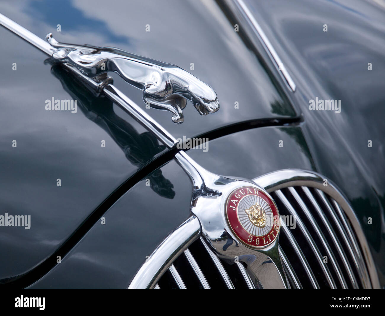Coche clásico Jaguar insignia de 3.8 litros con saltando cat. Foto de stock