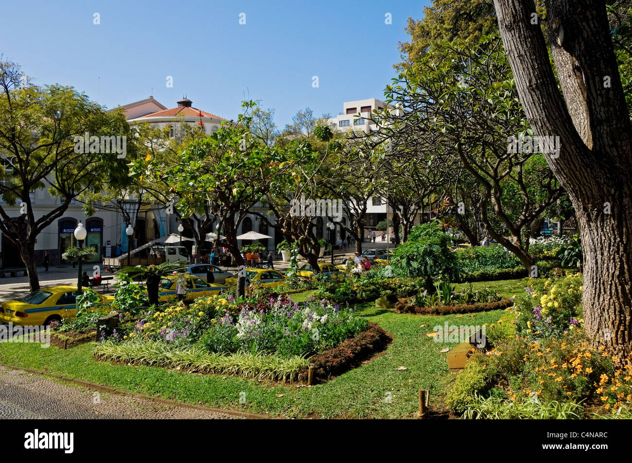 Jardim jardines municipales parque público jardín en la primavera Funchal Madeira Portugal UE Europa Foto de stock