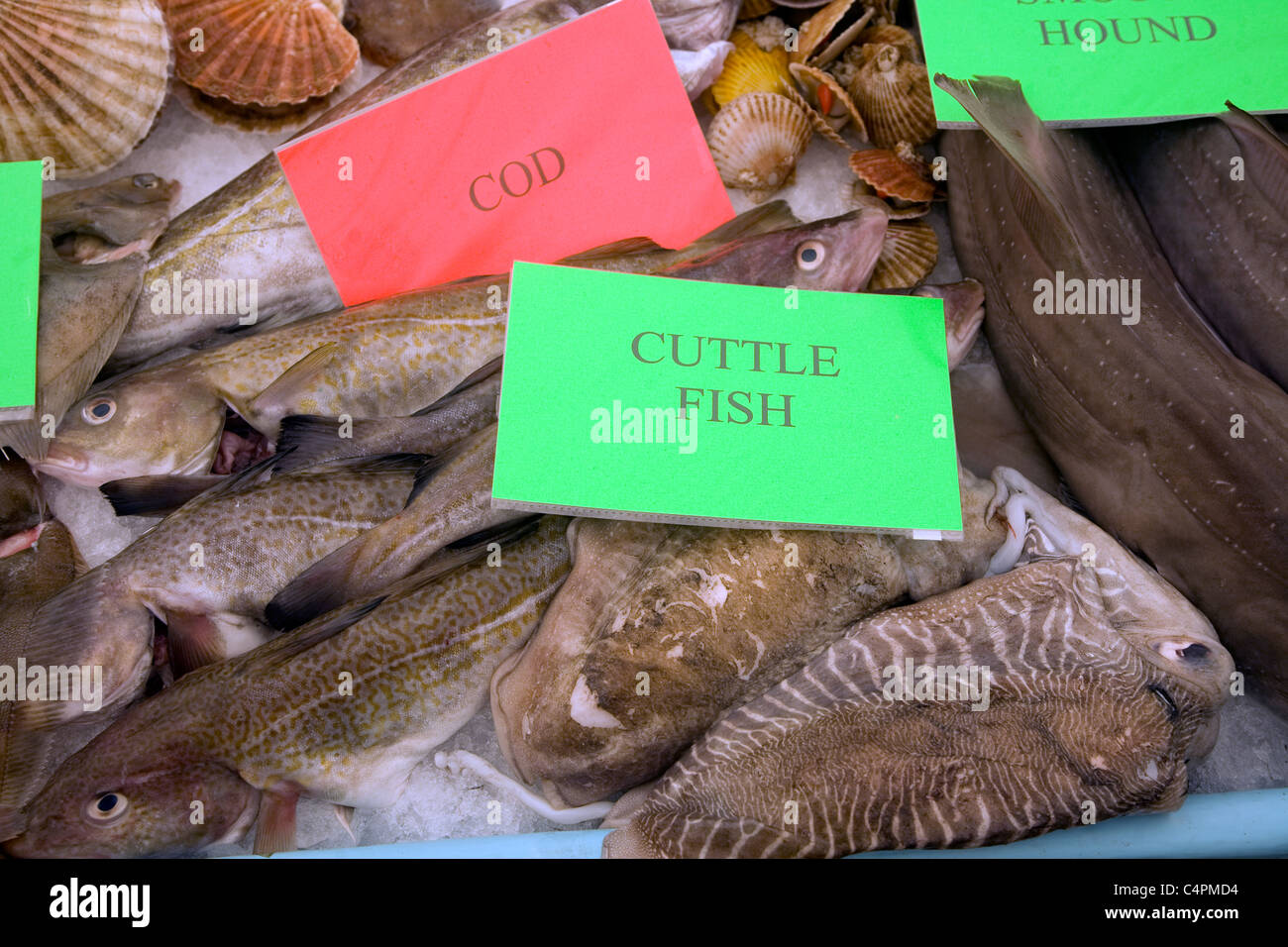 Pescadería, indicación de las variedades de pescado en hielo tabla  Fotografía de stock - Alamy