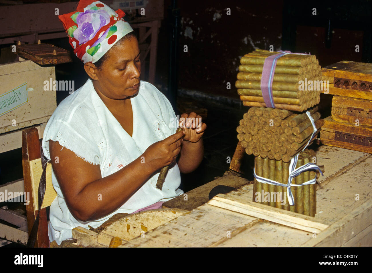 Mujer cubana que rodaba cigarros en la fabricación de tabaco, Pinar del Río, Cuba, Caribe Foto de stock