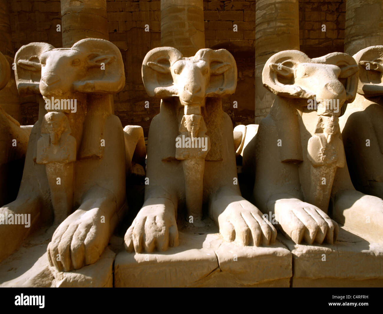 Complejo Templo Karnak Egipto Avenida de Esfinges con cabeza de Ram El Ram simbolizando al dios egipcio Amón protegiendo las Efigies Reales de Rameses II en la forma de Osiris Foto de stock