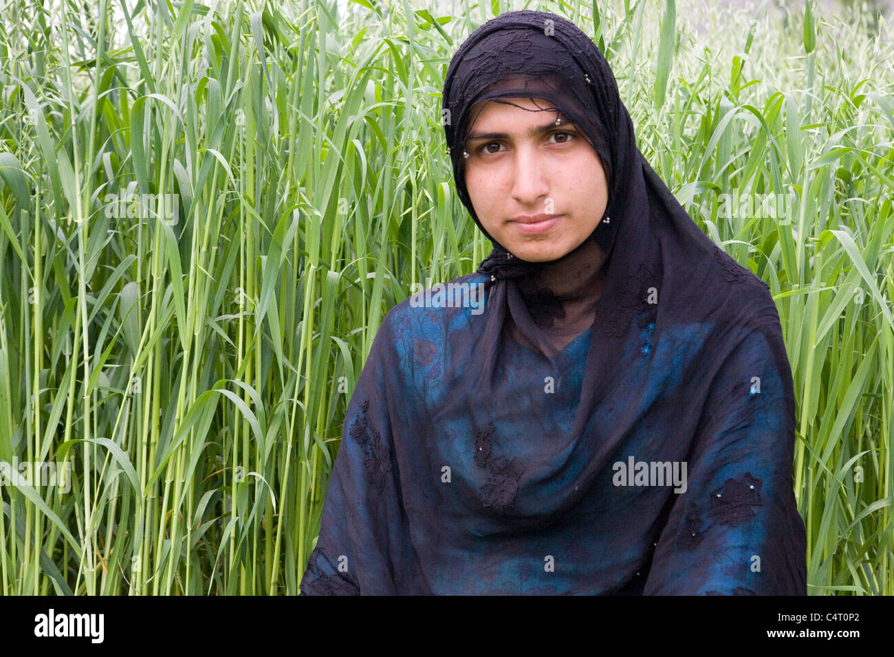 Mujer de cachemira plantea delante de hierba Manasbal campos cerca de lago, en el estado de Jammu & Kashmir, India Foto de stock