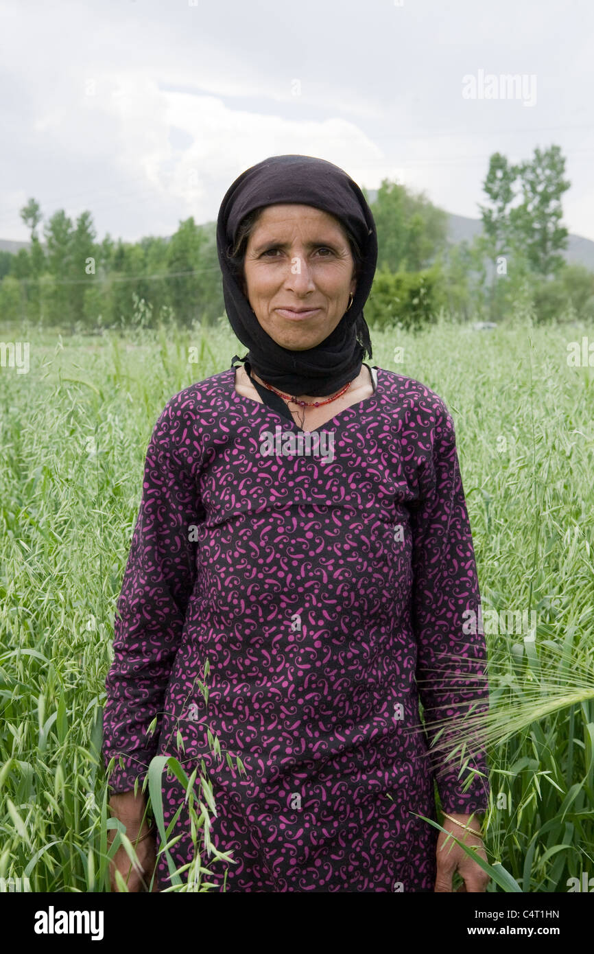 Mujer de Cachemira en campos de pasto Manasbal cerca del lago, en el estado de Jammu & Kashmir, India Foto de stock