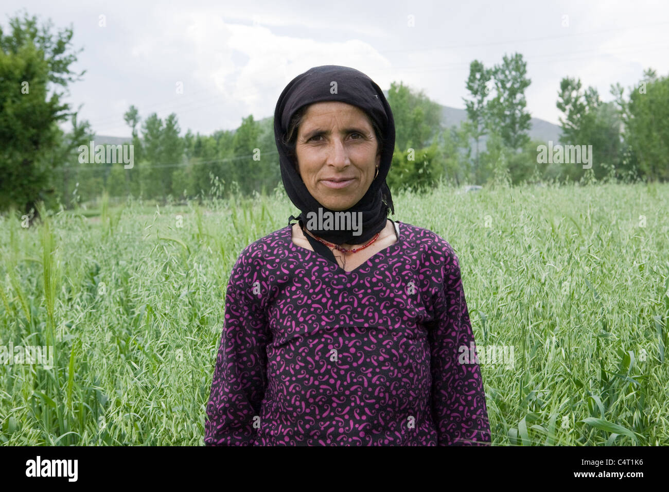 Mujer de Cachemira en campos de pasto Manasbal cerca del lago, en el estado de Jammu & Kashmir, India Foto de stock